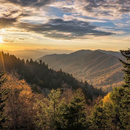City Bear, 2Br, Pool, Spa, Downtown Gatlinburg, Sleeps 6 Apartment Екстериор снимка