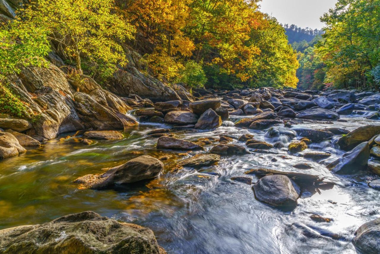 City Bear, 2Br, Pool, Spa, Downtown Gatlinburg, Sleeps 6 Apartment Екстериор снимка